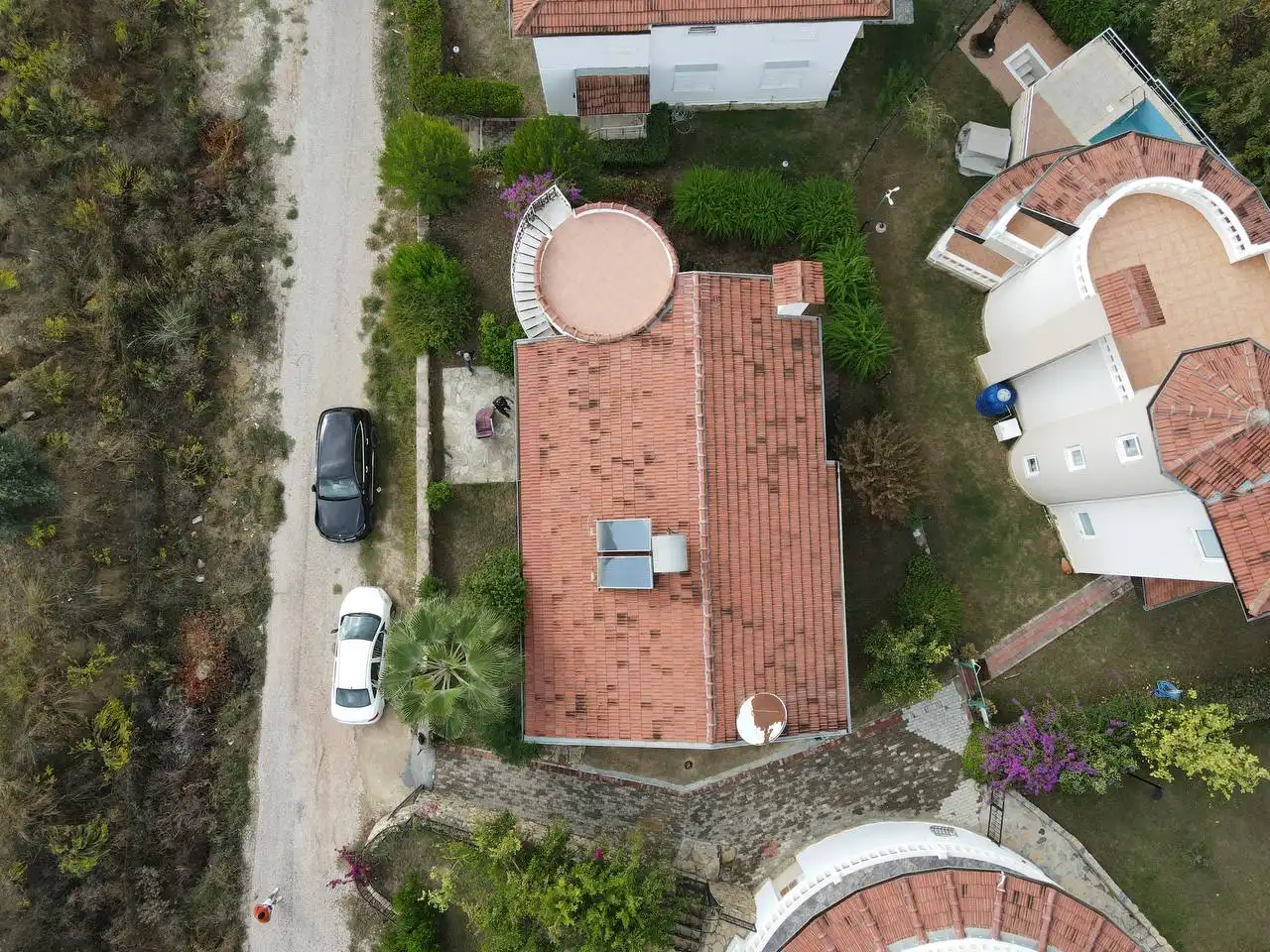 Изображение Уютная вилла окружённая оливковой рощей